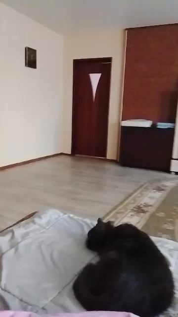 зайдите на трансляцию от любавы ПЛЕЙ