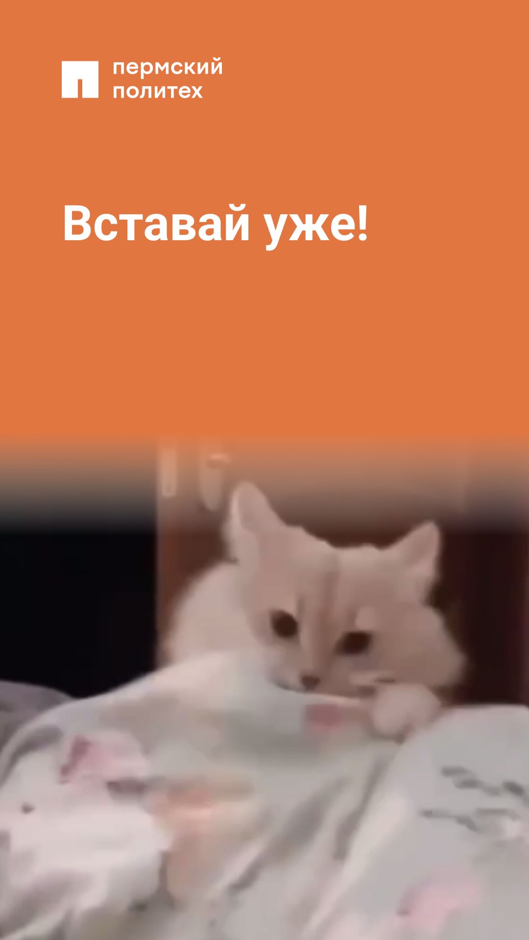 Вставай уже!