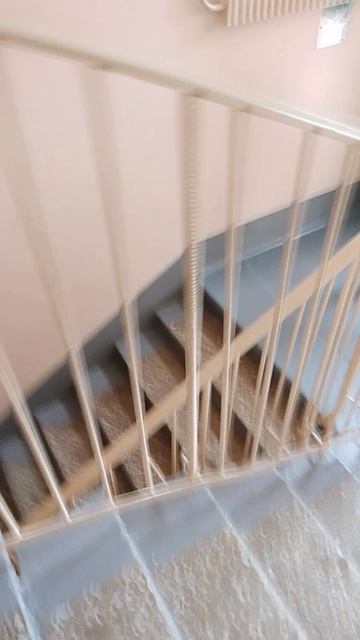 не хочу учиться