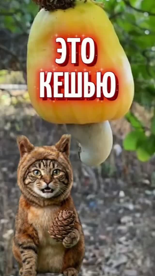 Этот орех съедобный?