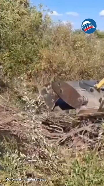 В Челябинской области бобры затопили микрорайон