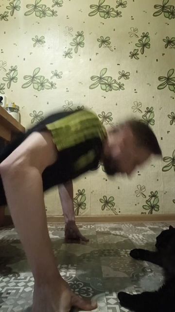 Ритуальные отжимания с Чернушкой #спорт #отжимания #психология