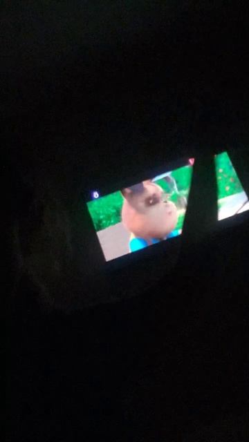 87aEwoCWwxkwmzmJaeMDMsEtk0s.mp4
