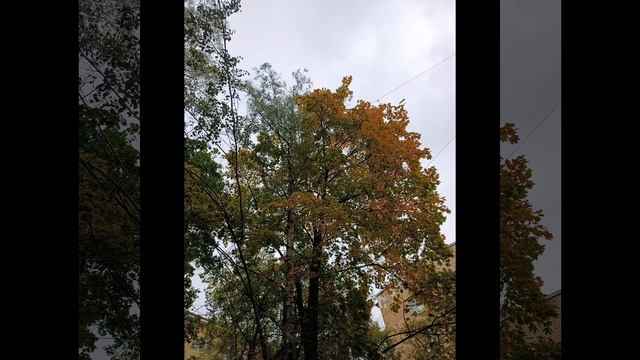 осенняя зарисовка 2
