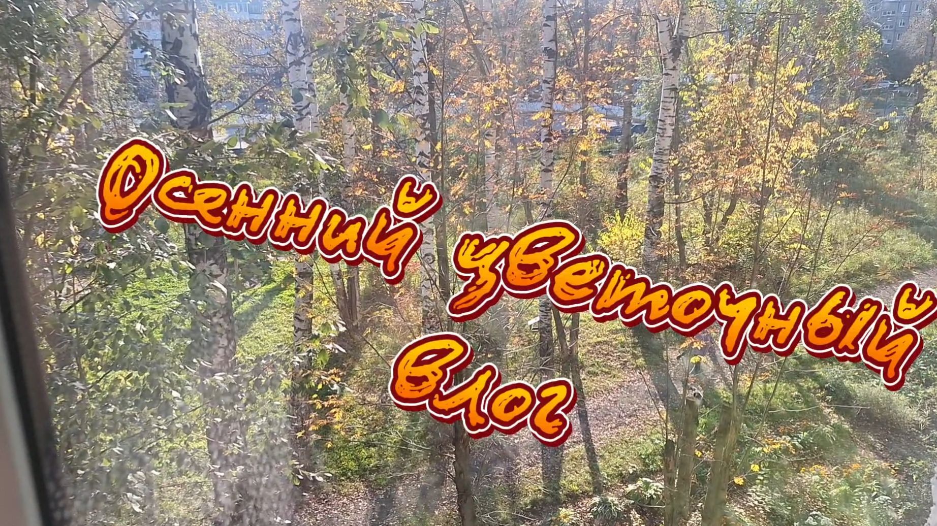 Цветочный влог: обзор покупок, пересадка, переукоренение