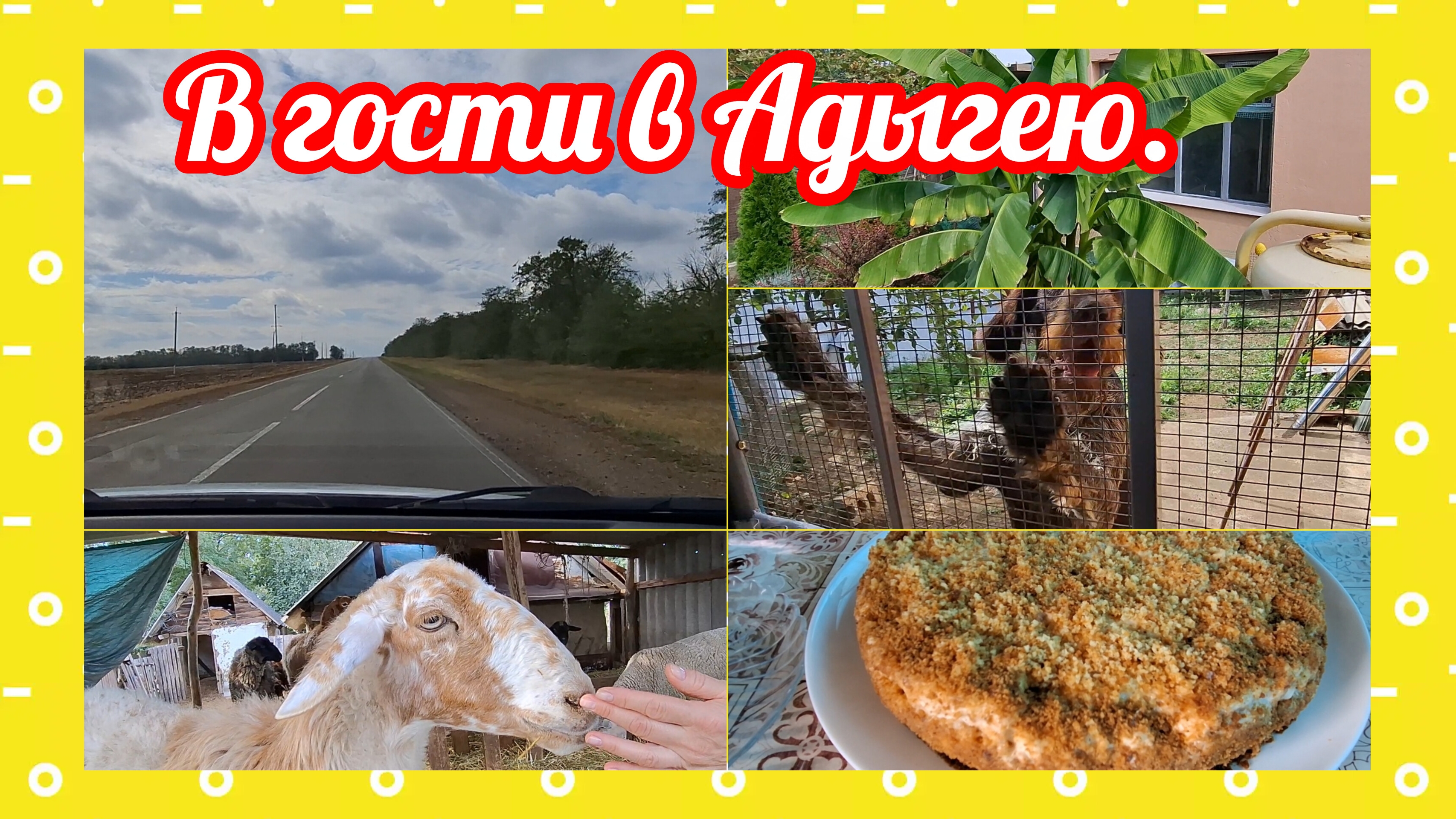 24-09-2026/ В гости в Адыгею/ Наша жизнь на юге после переезда из Ивановской области/ Кубань/