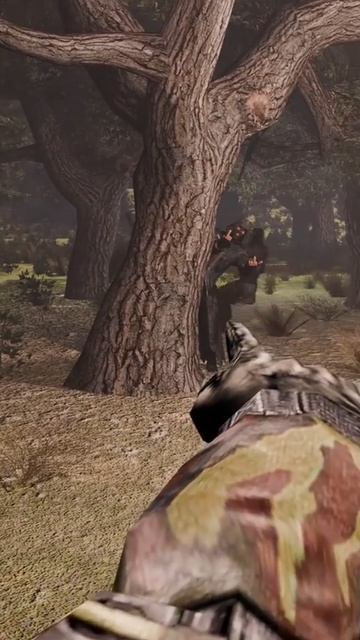 белочки.....(stalker2)