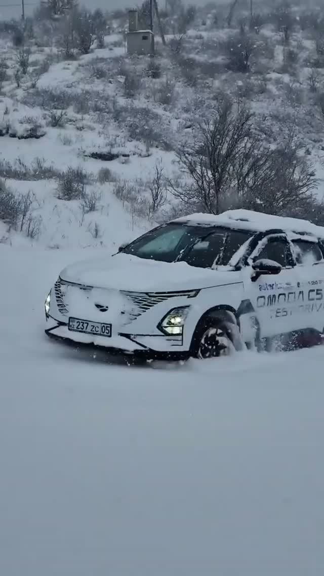 Omoda C5