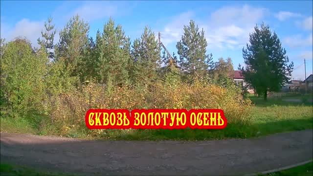 СКВОЗЬ ЗОЛОТУЮ ОСЕНЬ