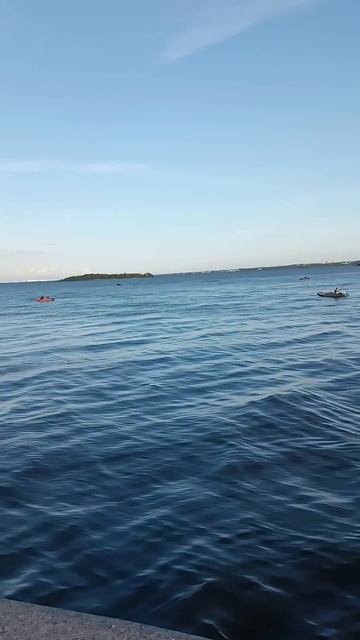 море #рыбалкавпитере