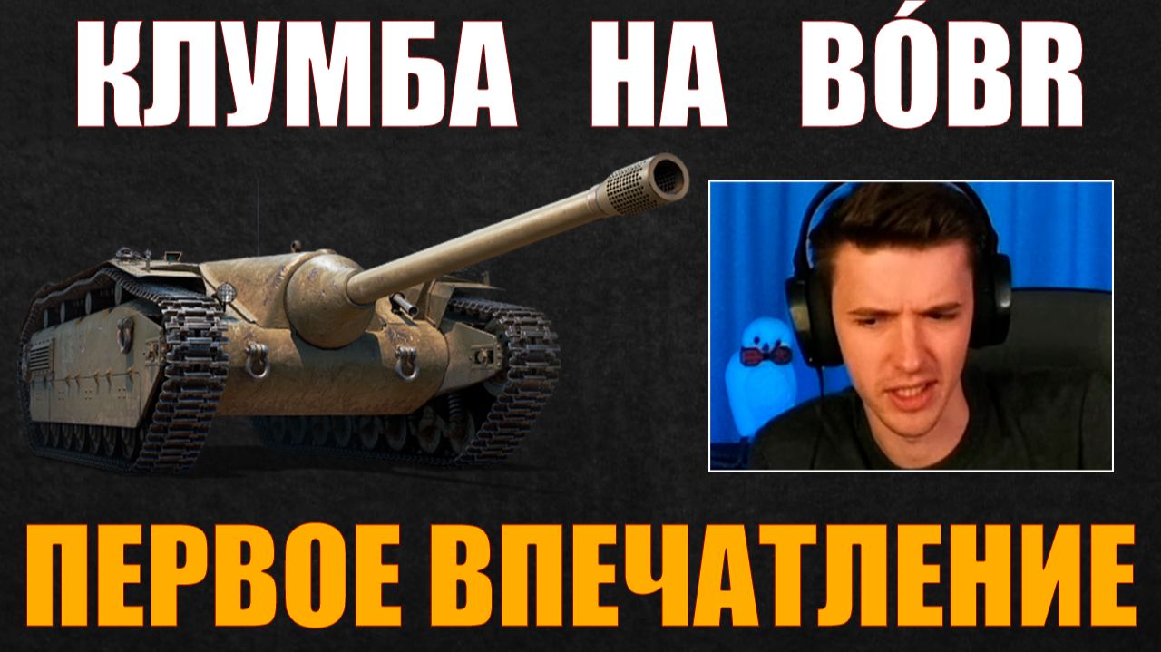 BÓBR – ПЕРВОЕ ВПЕЧАТЛЕНИЕ КЛУМБЫ #c1ymba #клумба #wot #миртанков