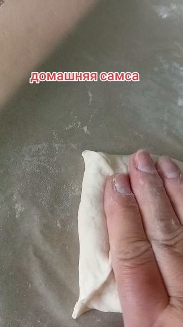 1000068254.mp4 домашняя самса