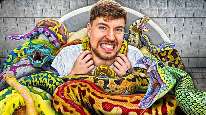 Сел бы ты к змеям за $100,000 Mrbeast-мистер бист на русском