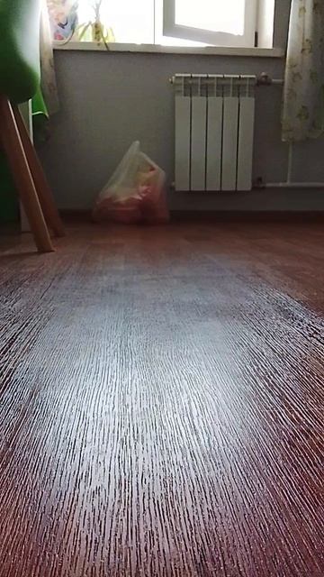 Вот как падает дамплинг с замедленой скоростью э😂😂😂