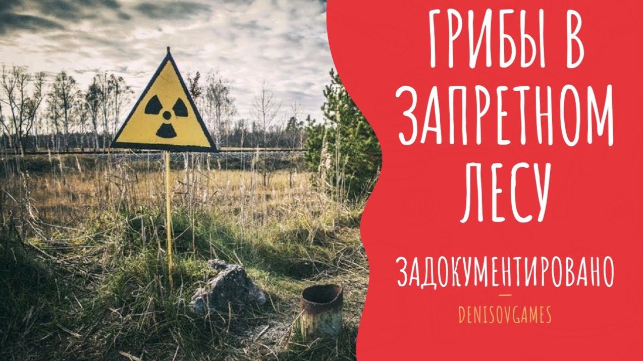 ГРИБЫ В ЗАПРЕТНОМ ЛЕСУ ( Страшная история )