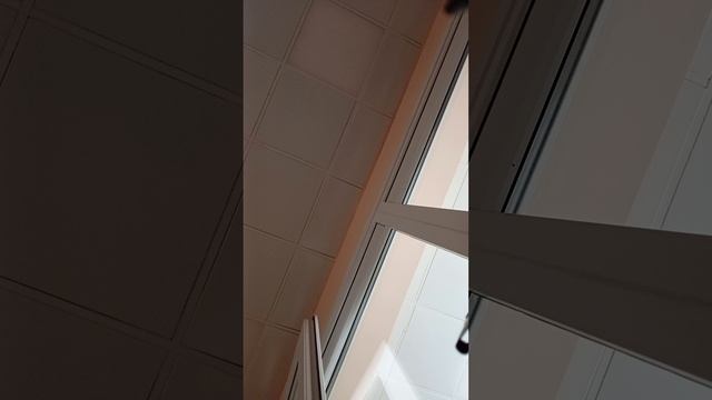 1000000754.mp4