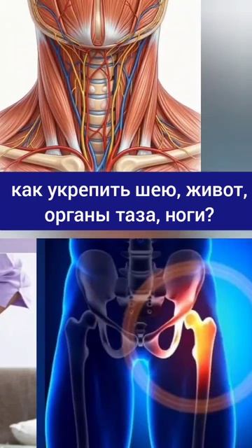 Слабый низ живота - проблемы с шеей, тазом, животом, тазобедренными суставами. Упражнения