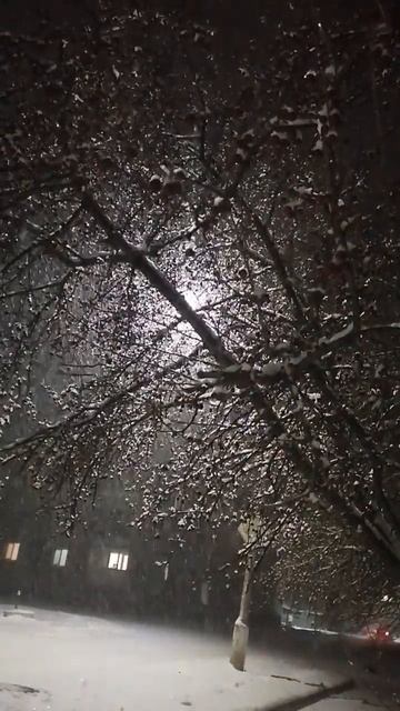 ❄️снежок#снег  #настроение #любовь #прогулка #шортс #погода #снег #зима #снегкружится #снежинка