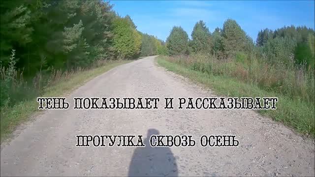 ТЕНЬ ПОКАЗЫВАЕТ И РАССКАЗЫВАЕТ. Прогулка сквозь осень