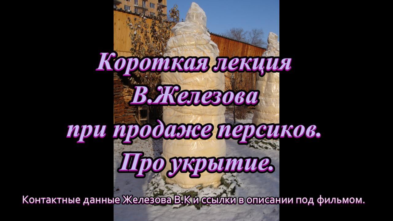 Короткая лекция В.Железова при продаже персиков. Про укрытие.