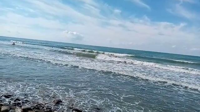VID_20260916_104018.mp4
