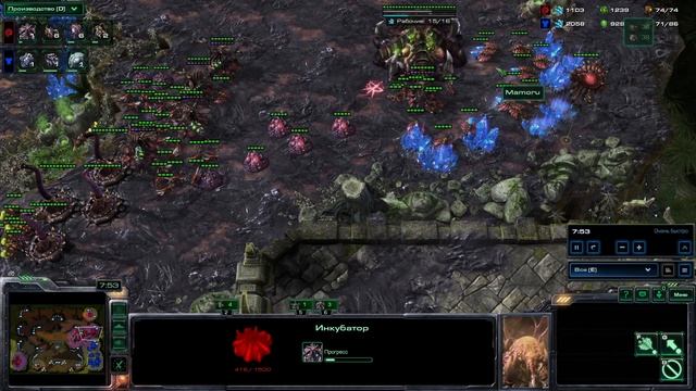 SC2 Mamoru натурал в крипе