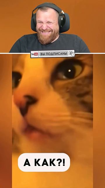 Петренто топ шортс 64