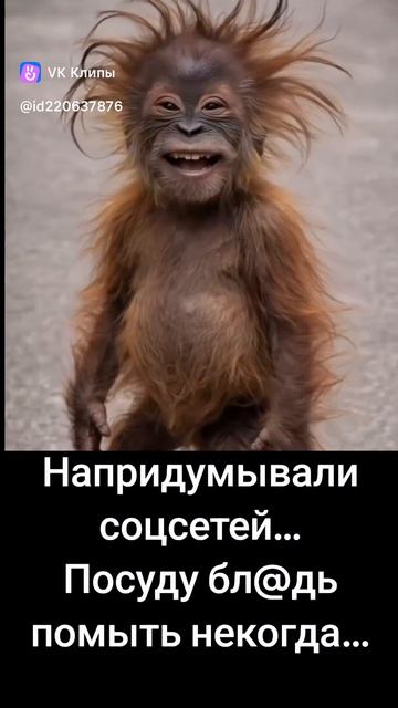 из интернета.