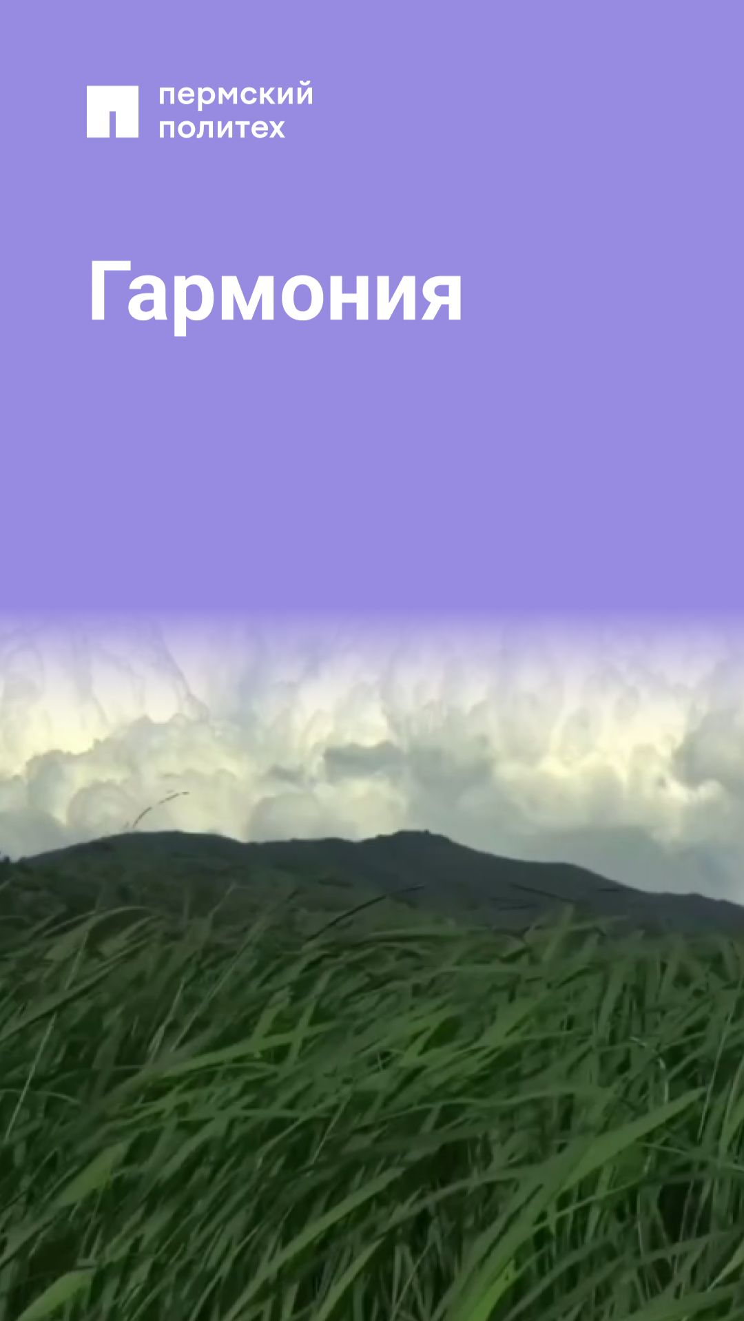 Гармония