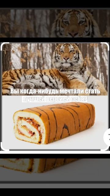 мемы