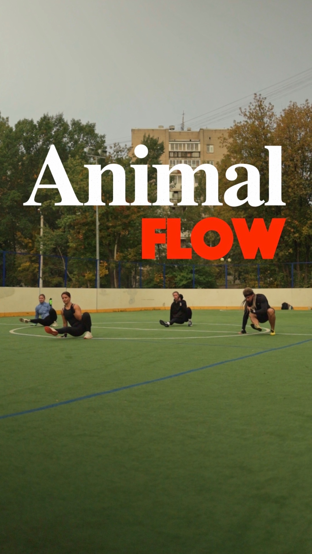 Animal Flow - регулярные живые практики каждую субботу