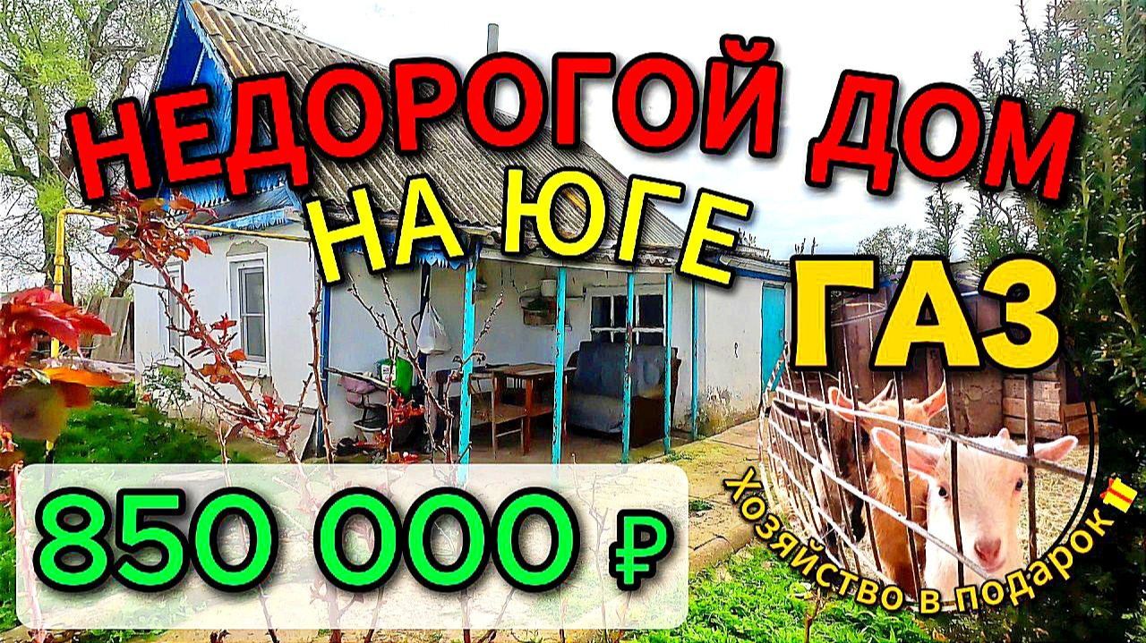 🏡 Недорогой ДОМ на ЮГЕ🌴40 м²🦯21 сотка🦯ГАЗ🦯вода 💰850 000 ₽📍 ст. Новоясенская 📞 89245404992 🌴
