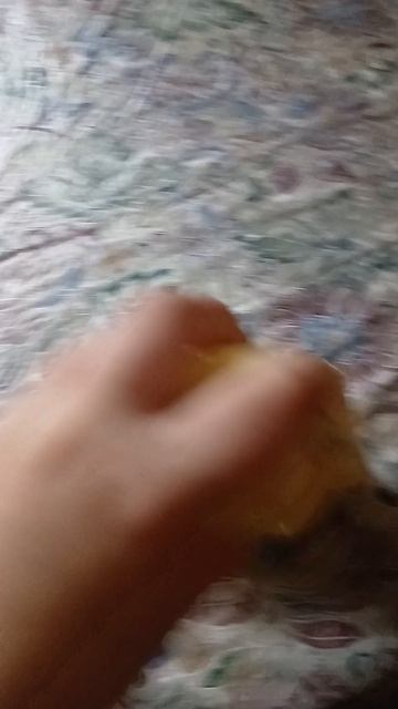 butter масло