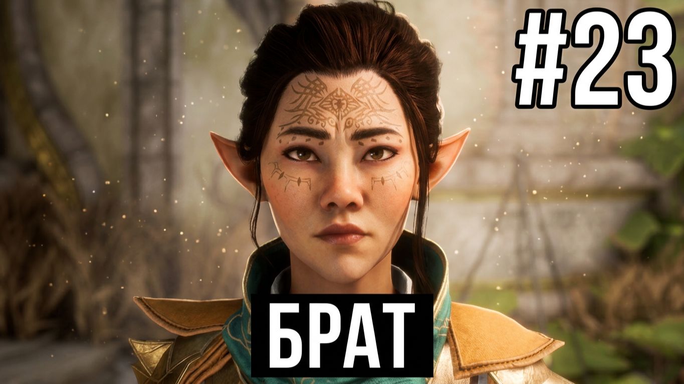 Dragon Age Veilguard 23  Брат