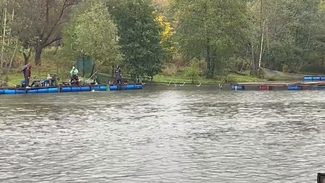 25.09.26 г. РК Волна.