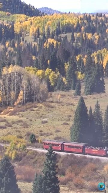 Паровозы