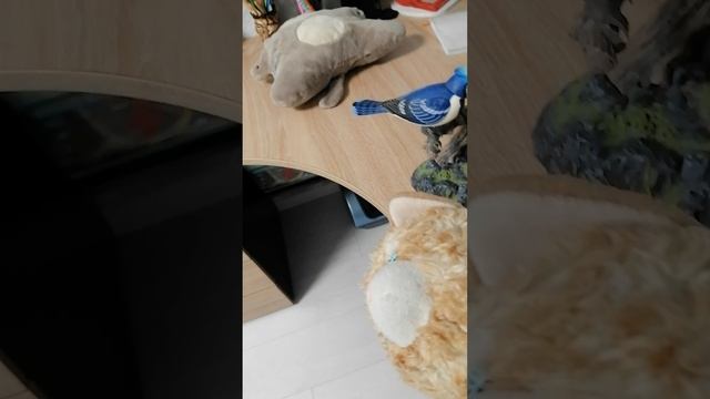 приключения кысульки трейлер 2 сезона!!! СКОРО на рутуб.