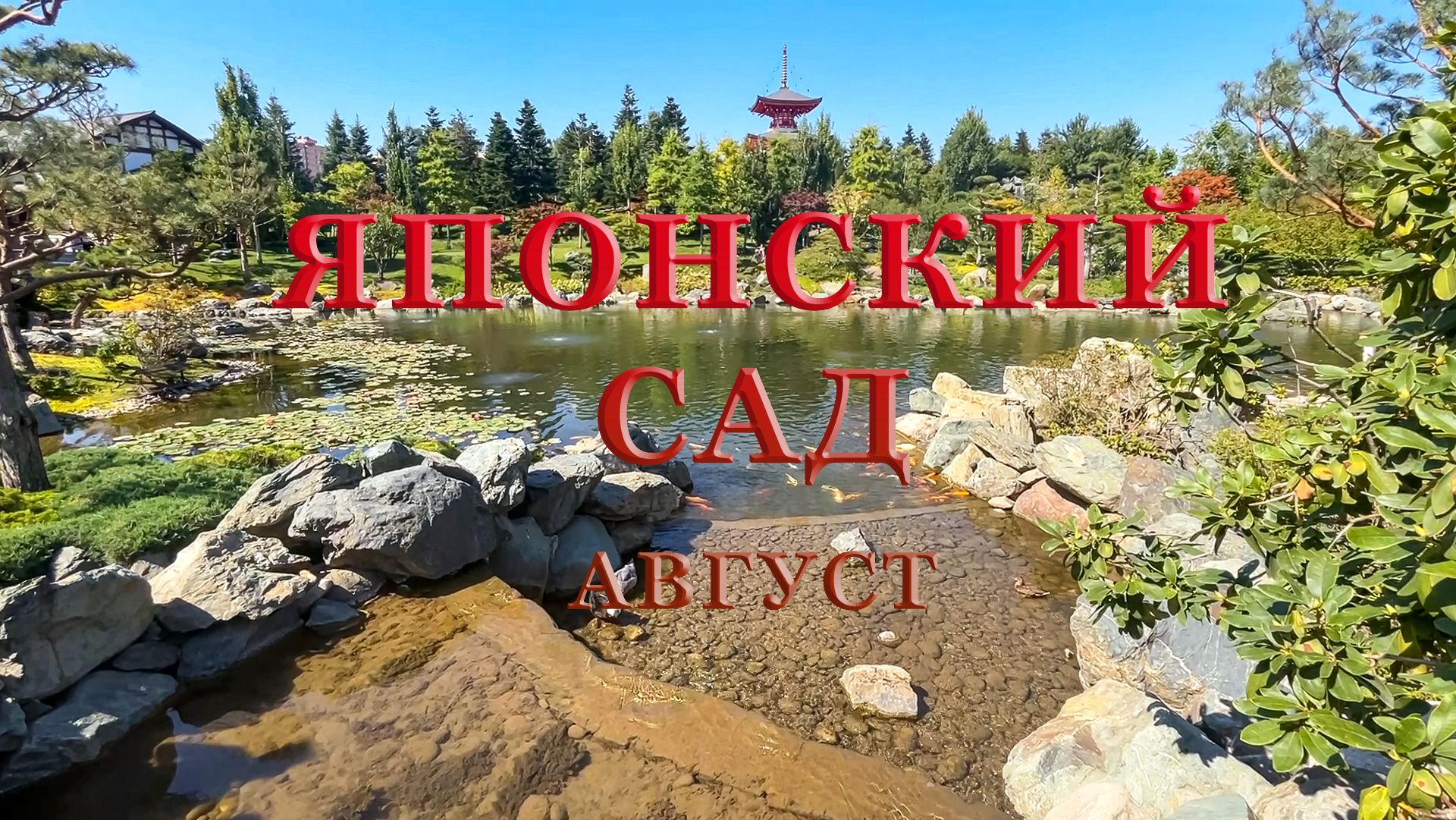 Краснодар, Японский сад, август 2026