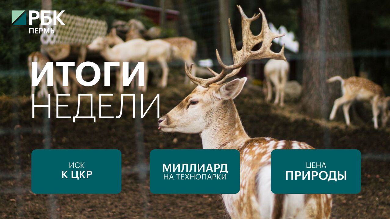 Иск к ЦКР | Миллиард на технопарки | Цена природы