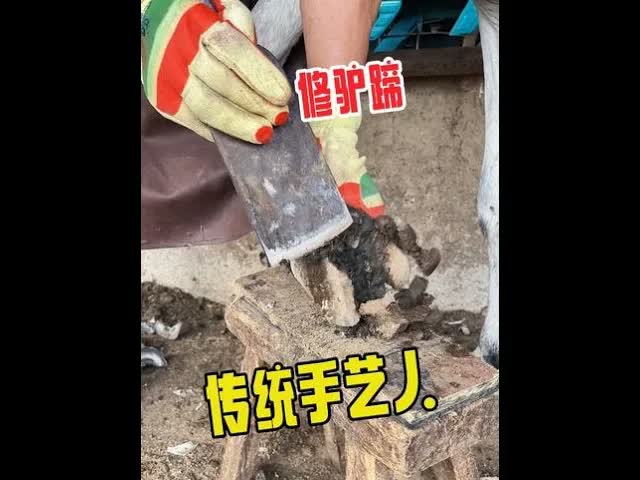 Кузнец подковывает осла лопатой — успокаивающее видео