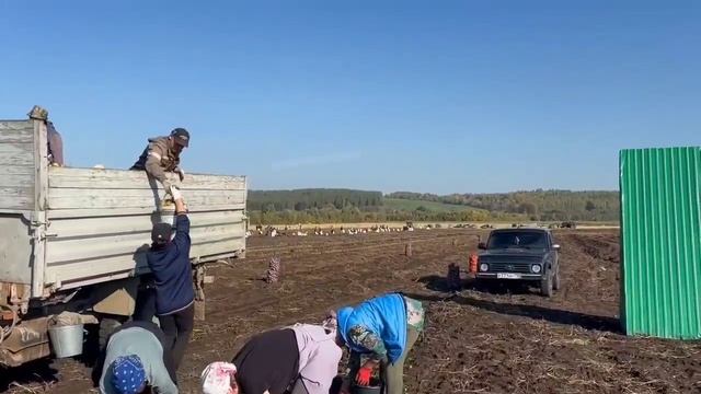 Икенче икмәк алу тәмамланды