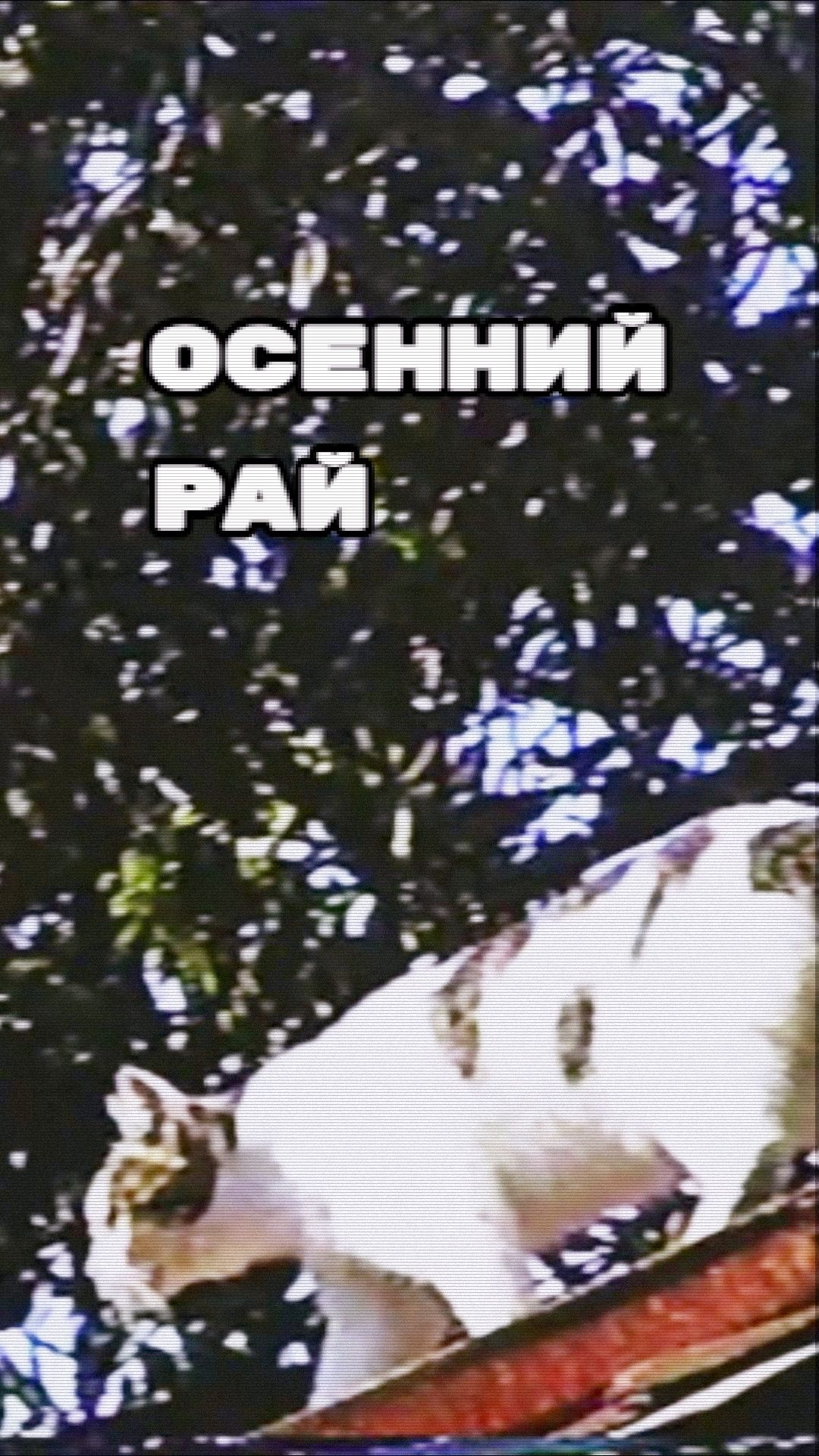 Осенний рай (клип)