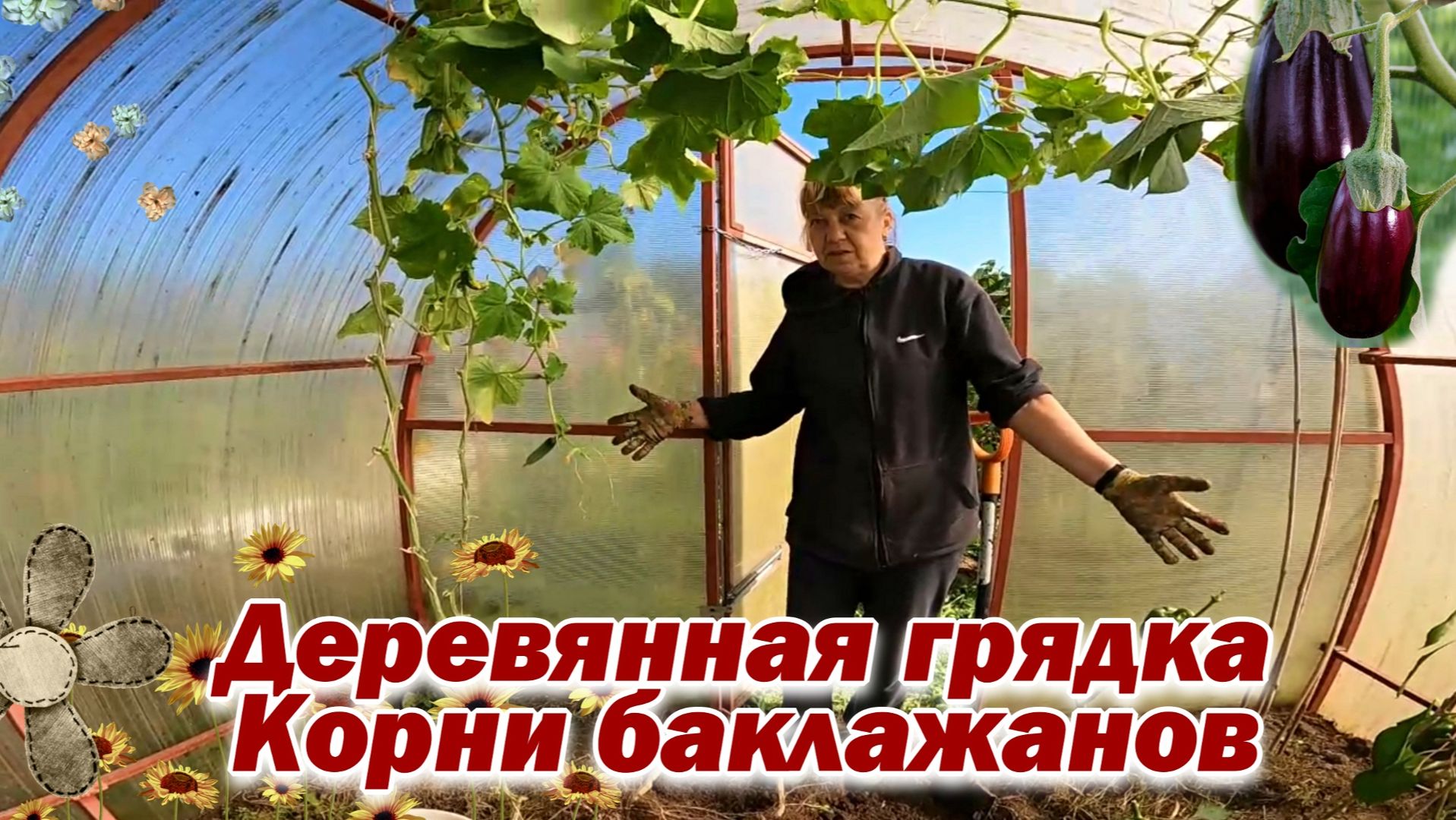 Деревянная грядка Корни баклажанов