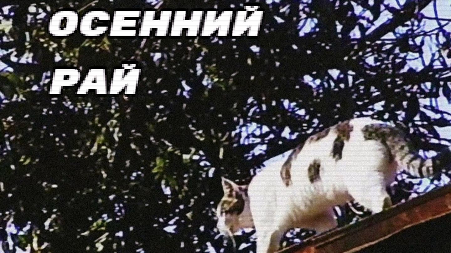 Осенний рай