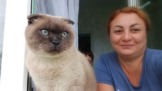 Домашний Влог / Огород Дом Поход за Грибами