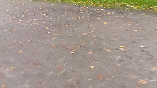 VID_20260925_095125_102919.mp4
