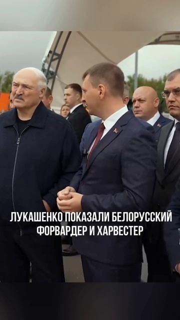 Лукашенко: А что ты мне по полметра привозишь?!Белорусская техника. Работает с ювелирной точностью.