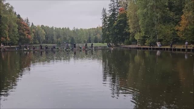 Обеденные поимки форели на спорт зоне. Клёвое место лосиный остров