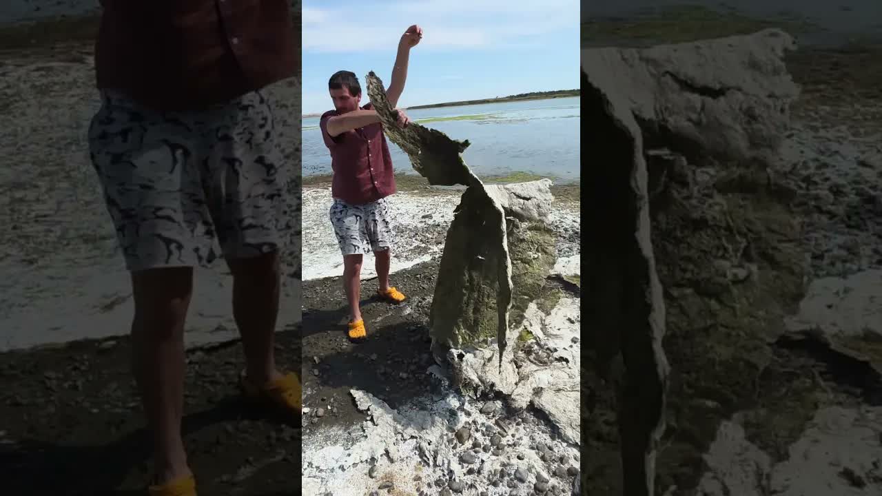 Отдираю огромные сухие куски водорослей