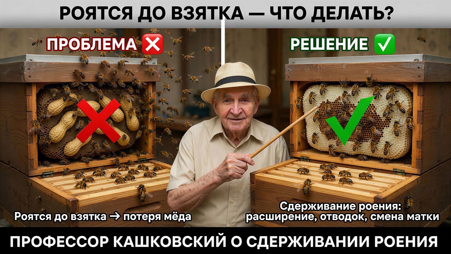 Роятся до взятка  что делать? Профессор Кашковский о сдерживании роения